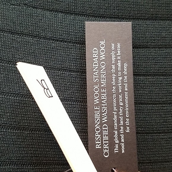 Extra Fine Merino Wool Turtleneck - Picture 5 of 7